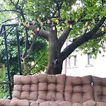 Frühstückspension Pansion Anastasia