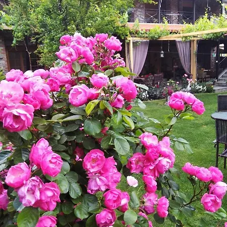 Pansion Anastasia Bed & Breakfast Káto Loutrákion